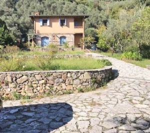 Collina di Camaiore villa singola con possibilità di piscina : rustico con giardino in vendita montebello Camaiore